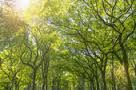 How Can Work Uniform Companies Help Your Business Be Greener?