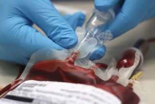 Nurse Touching Blood Bag With Wearing Nitrile Gloves