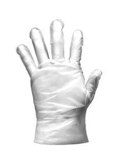 Clear Poly Disposable Gloves