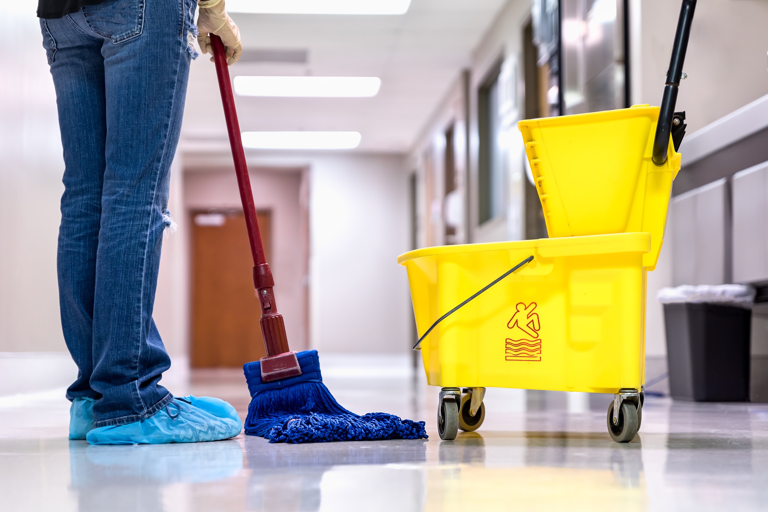 Dry Dust Mops vs. Wet Mops: Do You Need to Own Both?
